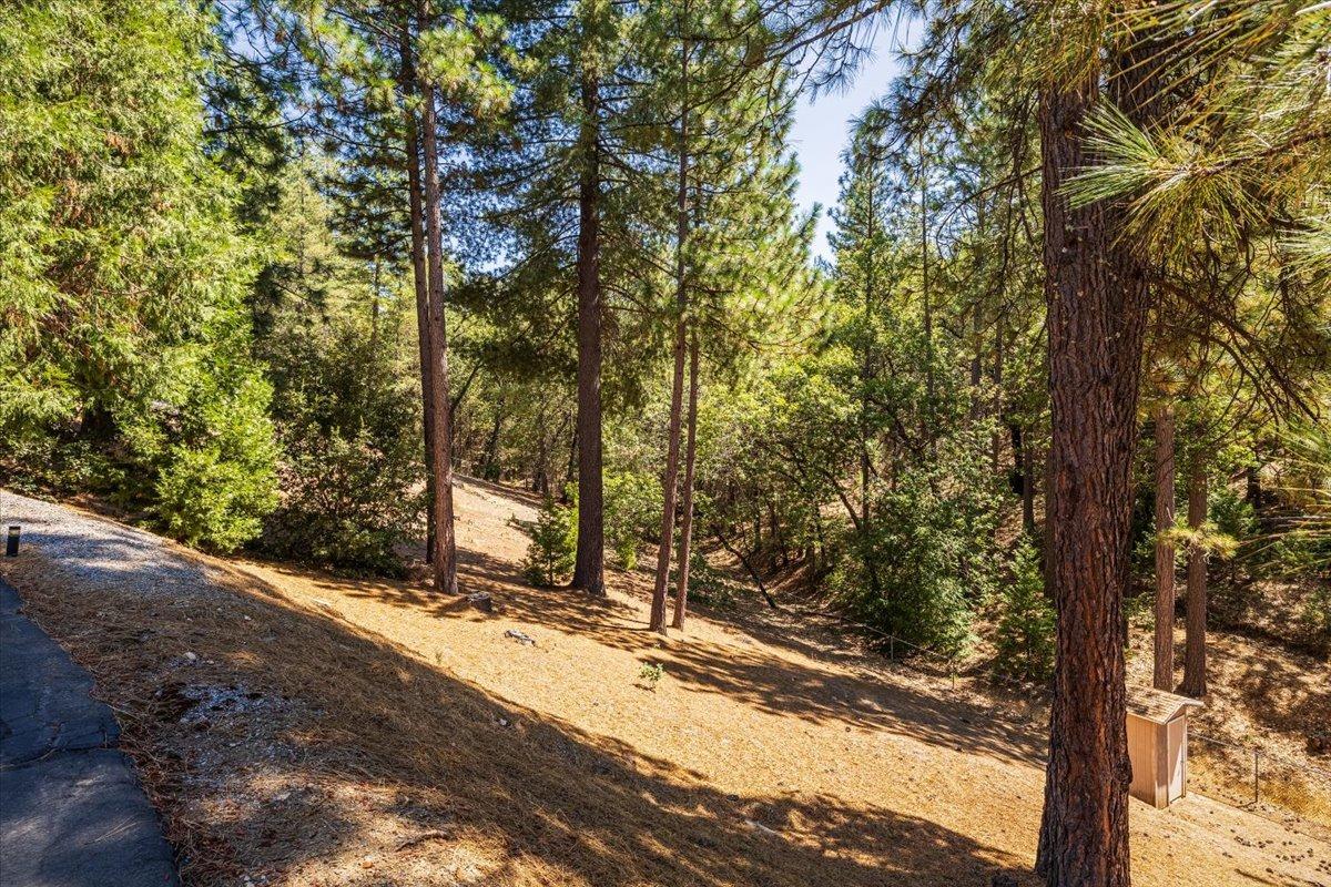 Detail Gallery Image 12 of 63 For 1470 Combo Ct, Placerville,  CA 95667 - 3 Beds | 2 Baths