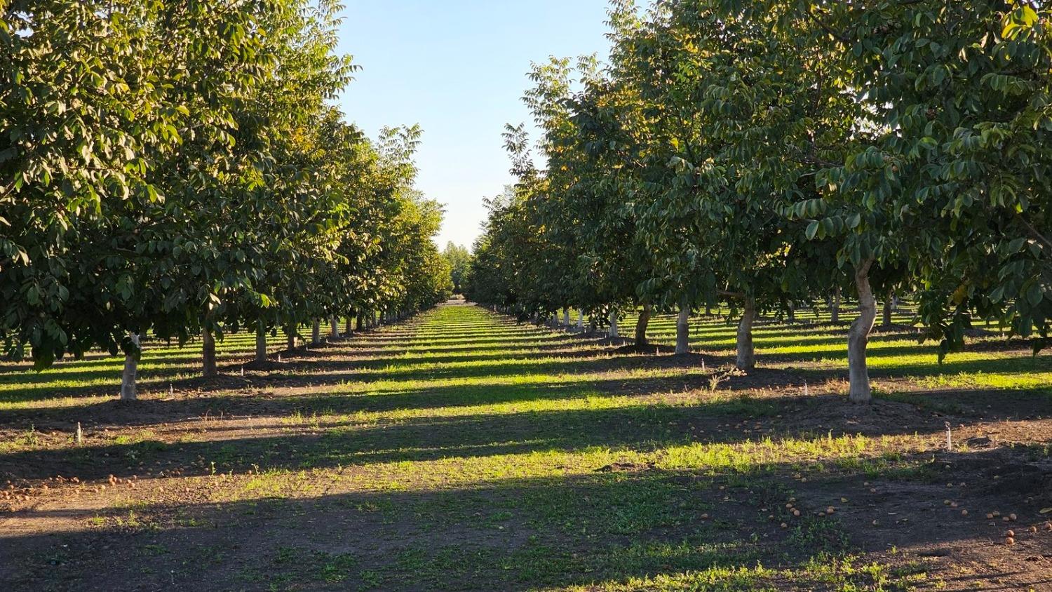 Cranmore Road, Meridian, California image 14