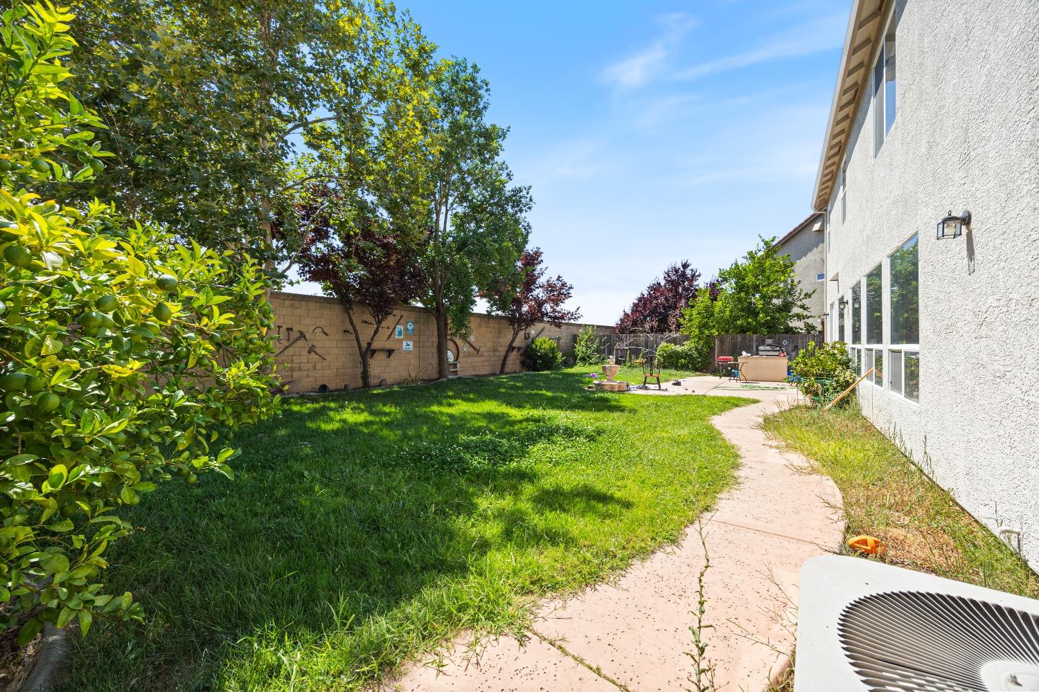 Snowy Egret Court, Elk Grove, California image 31