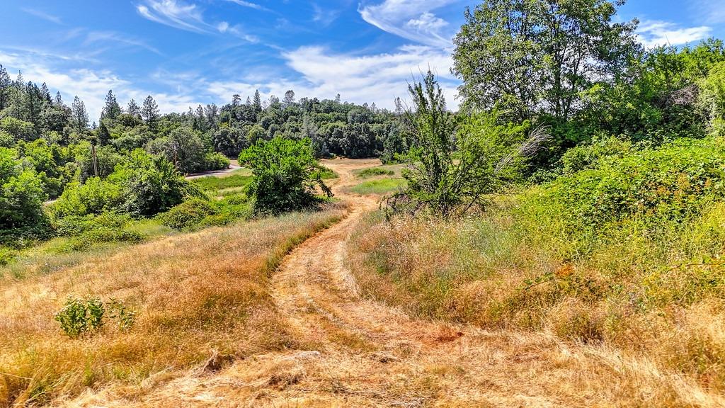 Bear Creek Road, Garden Valley, California image 7