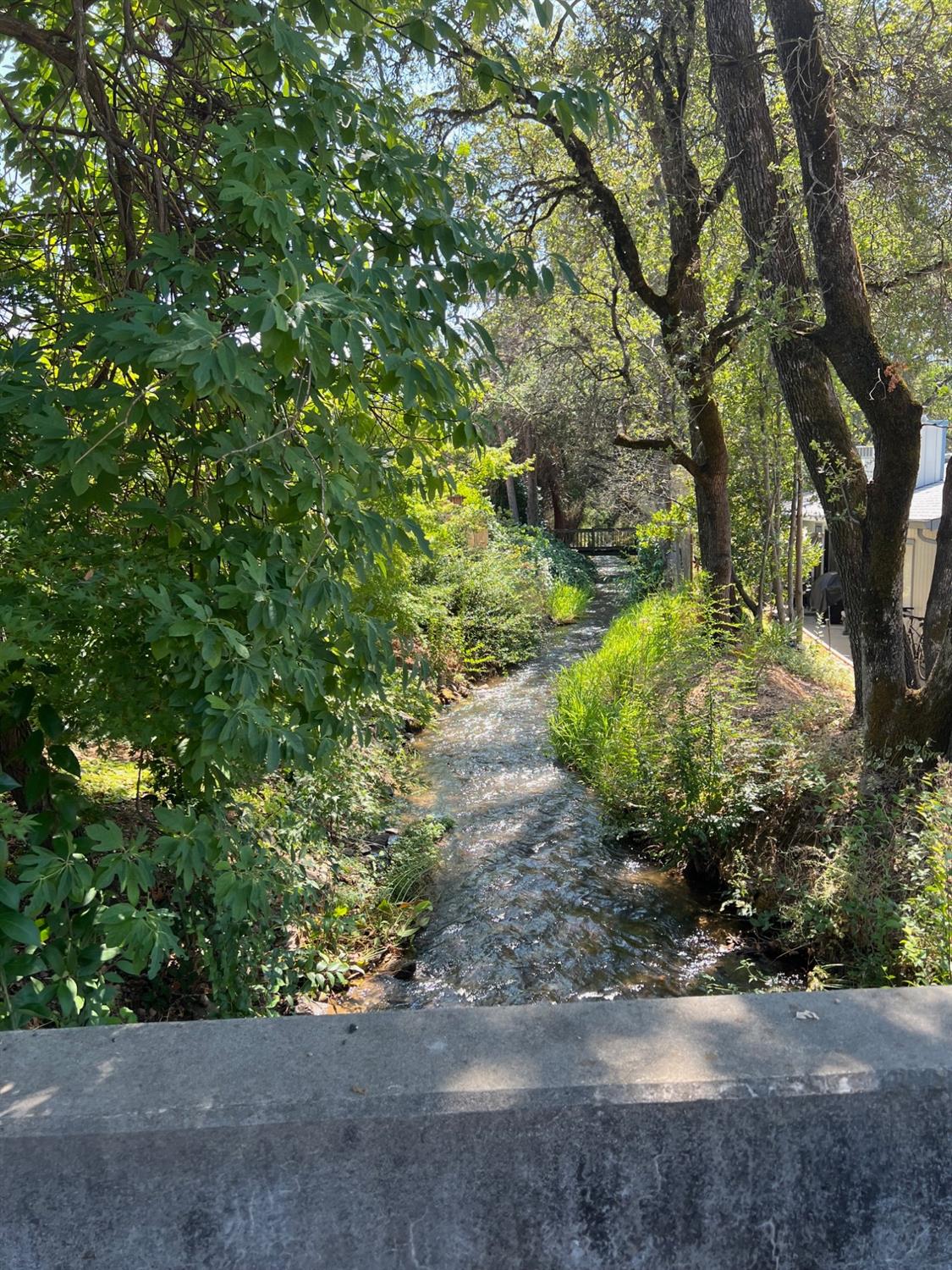 Baltic Circle, Auburn, California image 31