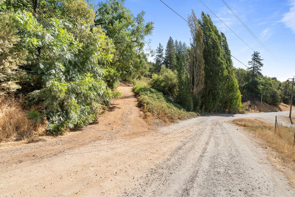 Eight Mile Road, Camino, California image 4