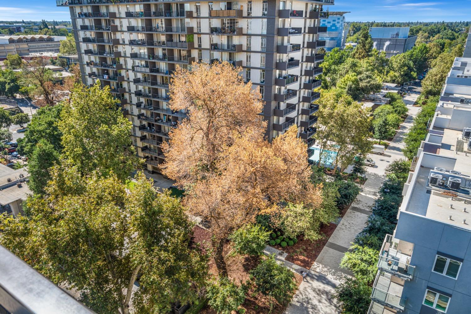 Detail Gallery Image 41 of 67 For 500 N St #1503,  Sacramento,  CA 95814 - 2 Beds | 2 Baths