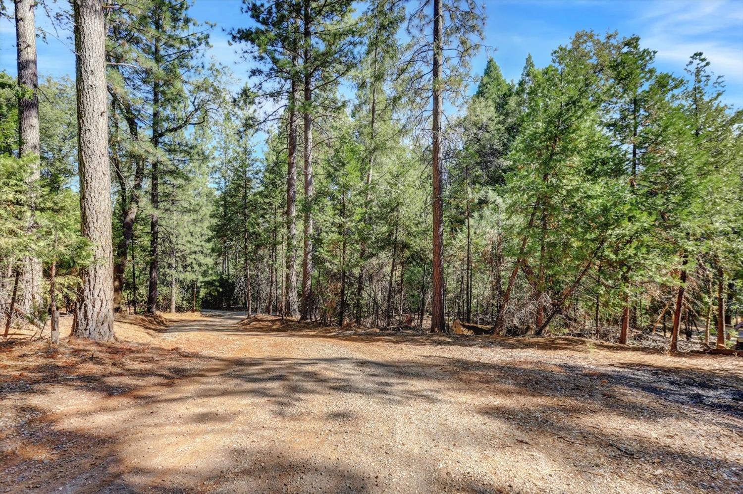 Detail Gallery Image 58 of 68 For 12812 Pearson Rd, Grass Valley,  CA 95945 - 3 Beds | 3/1 Baths