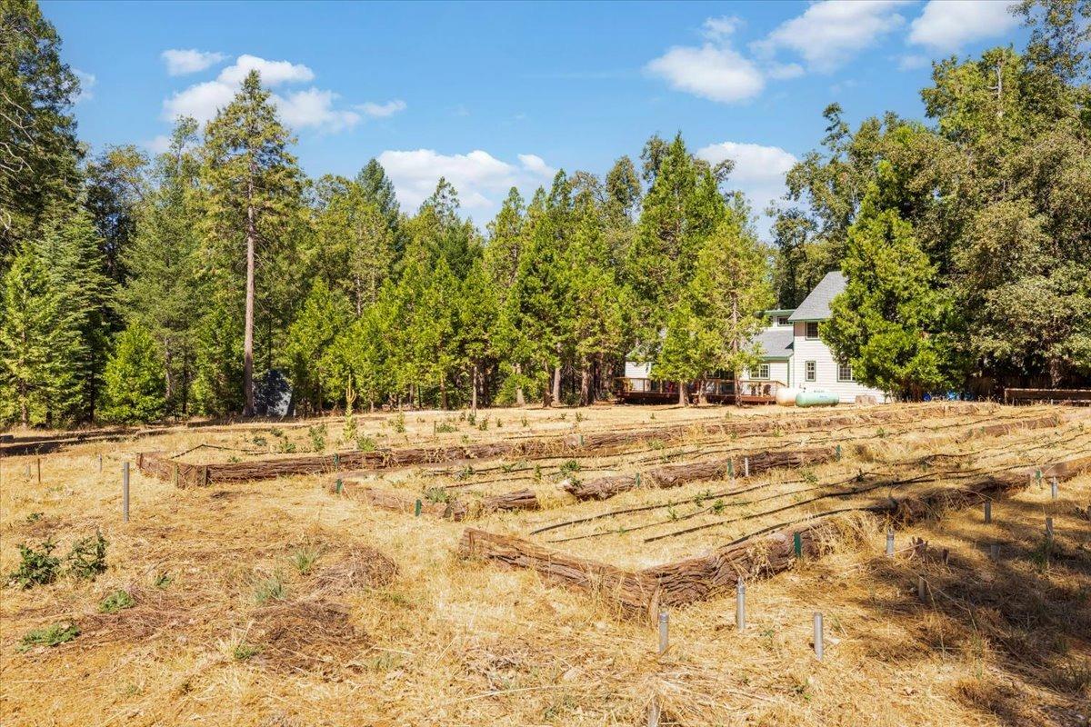 Detail Gallery Image 27 of 57 For 13763 Lightning Tree Rd, Nevada City,  CA 95959 - 3 Beds | 3/1 Baths