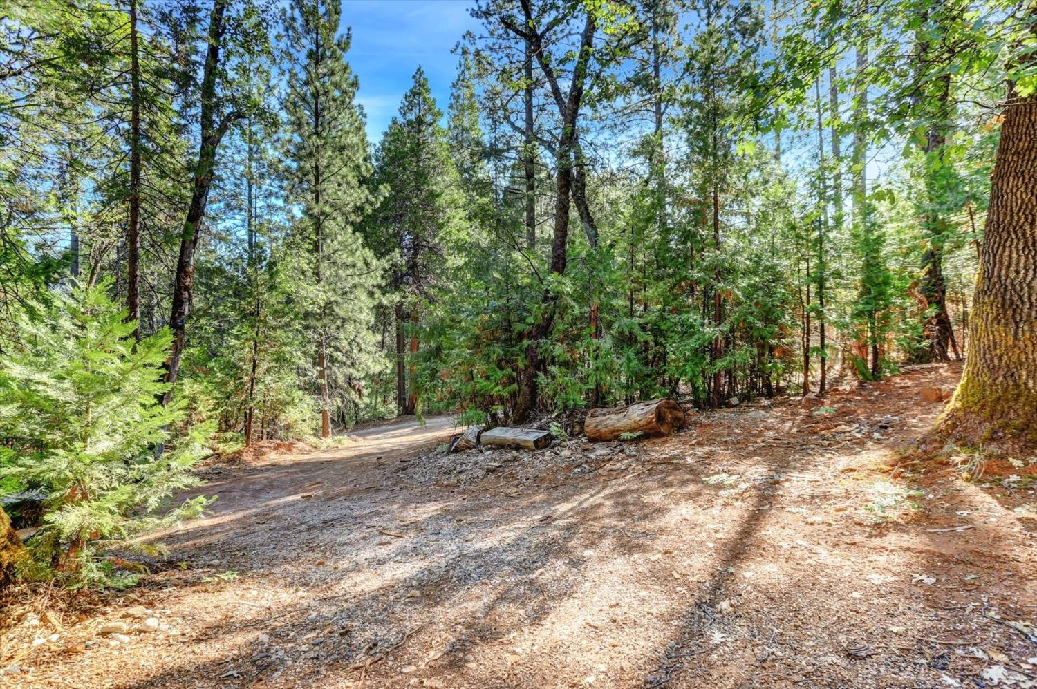 Detail Gallery Image 60 of 68 For 12812 Pearson Rd, Grass Valley,  CA 95945 - 3 Beds | 3/1 Baths