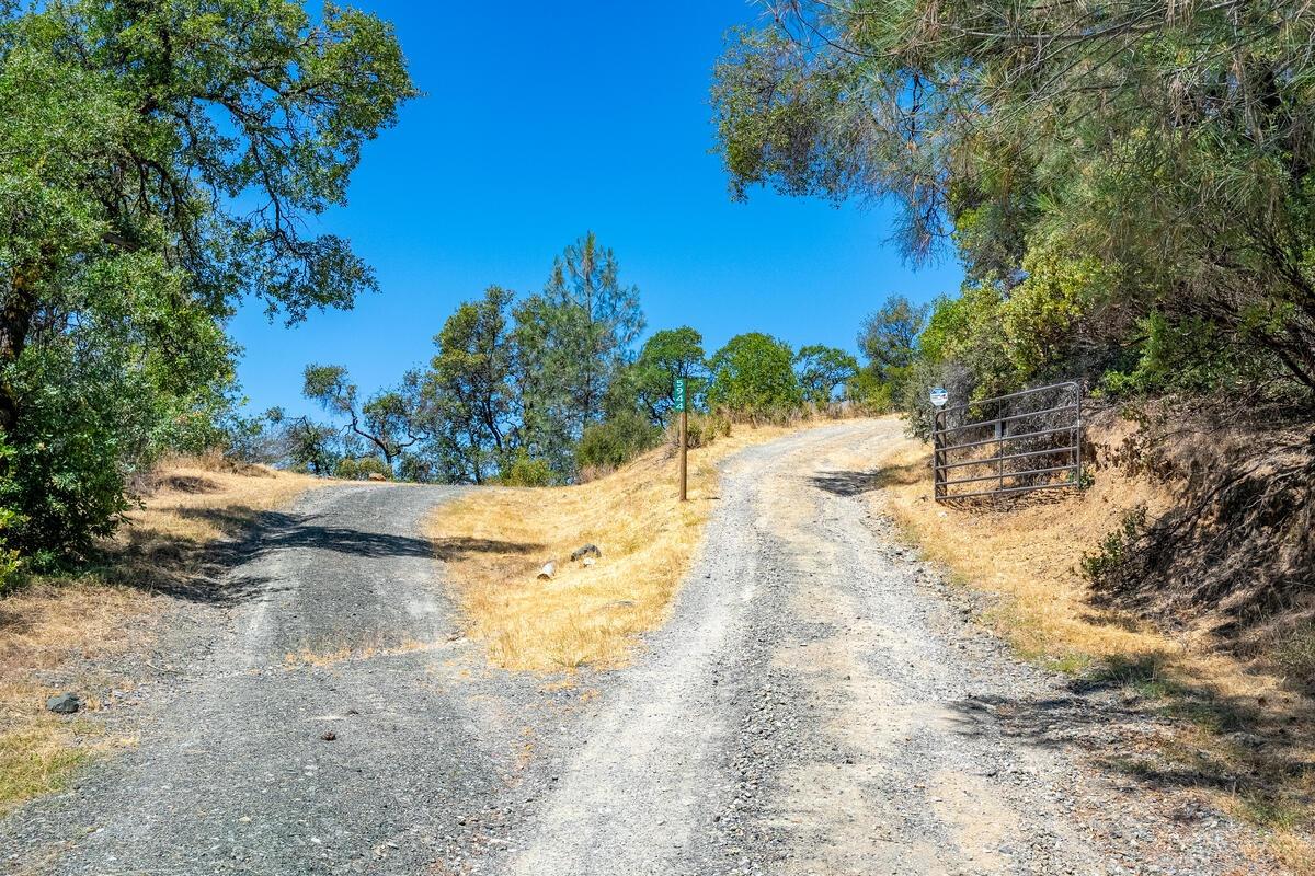 Quarry Turn Road, Foresthill, California image 3