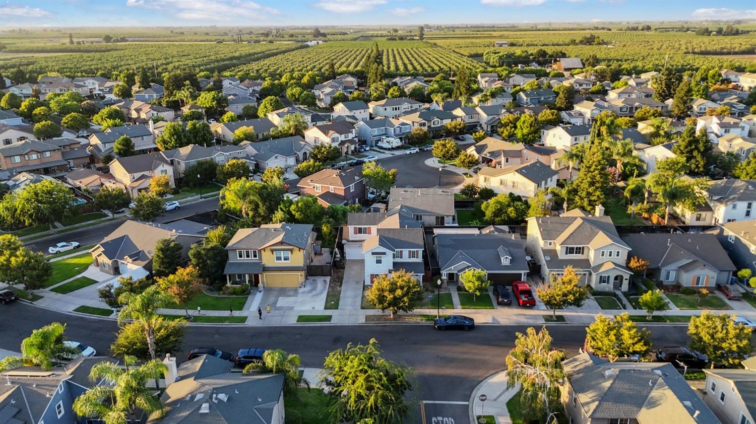 Detail Gallery Image 4 of 29 For 2403 Terralinda Dr, Turlock,  CA 95382 - 3 Beds | 2/1 Baths