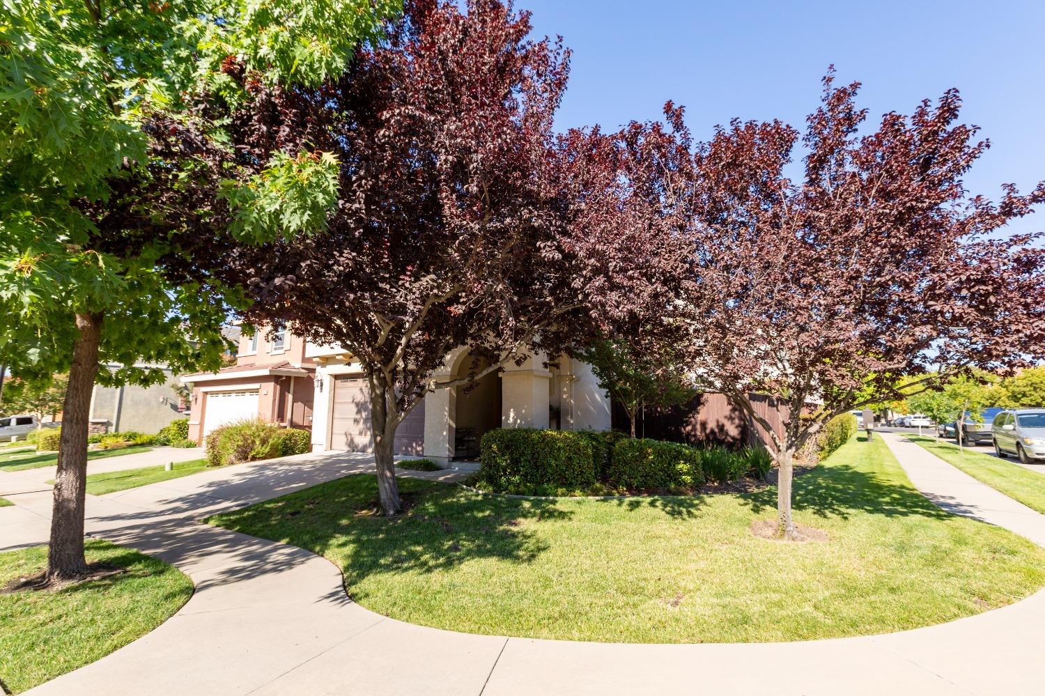 Ellesmere Loop, Roseville, California image 2