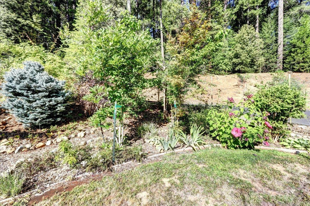 11724 Buckeye Road