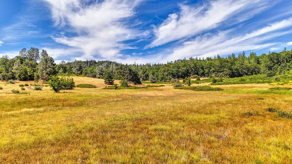 Bear Creek Road, Garden Valley, California image 9