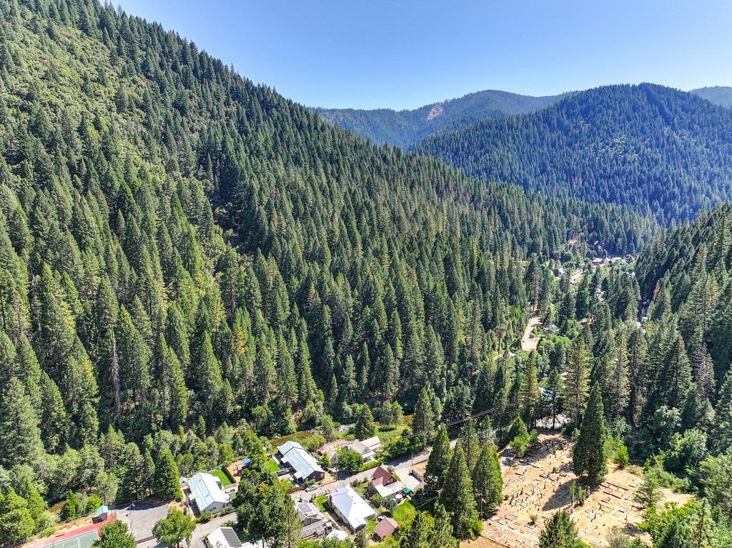 Detail Gallery Image 75 of 80 For 715 Main, Downieville,  CA 95936 - 3 Beds | 2 Baths