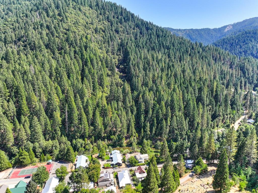 Detail Gallery Image 76 of 80 For 715 Main, Downieville,  CA 95936 - 3 Beds | 2 Baths