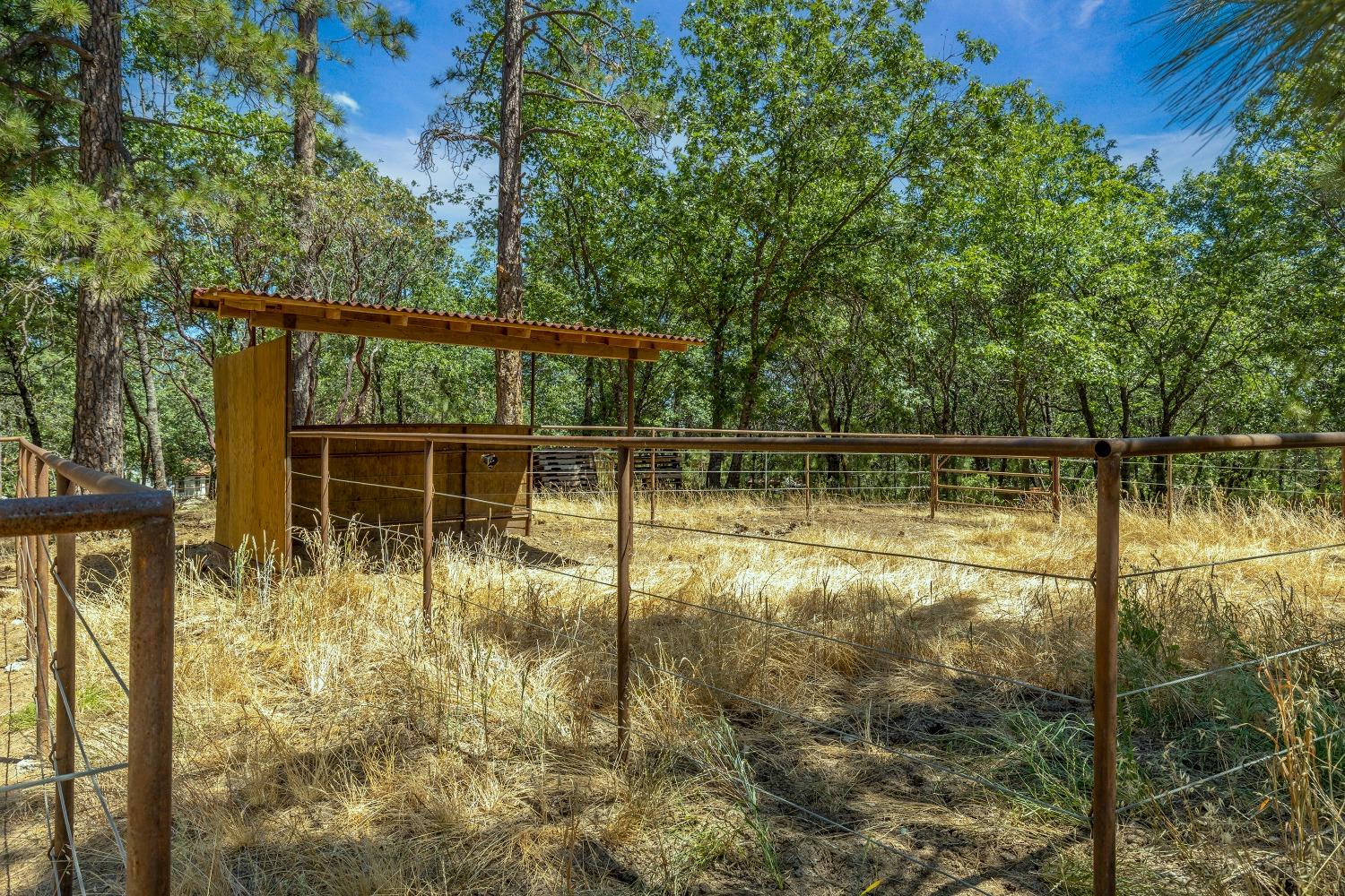 Detail Gallery Image 67 of 96 For 1483 W Forty Rd, Mokelumne Hill,  CA 95245 - 3 Beds | 2 Baths