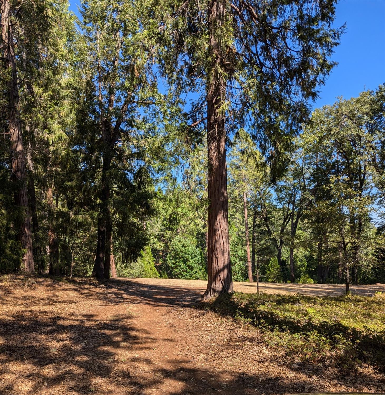 Detail Gallery Image 3 of 11 For 13625 Pegasus Pl, Nevada City,  CA 95959 - – Beds | – Baths