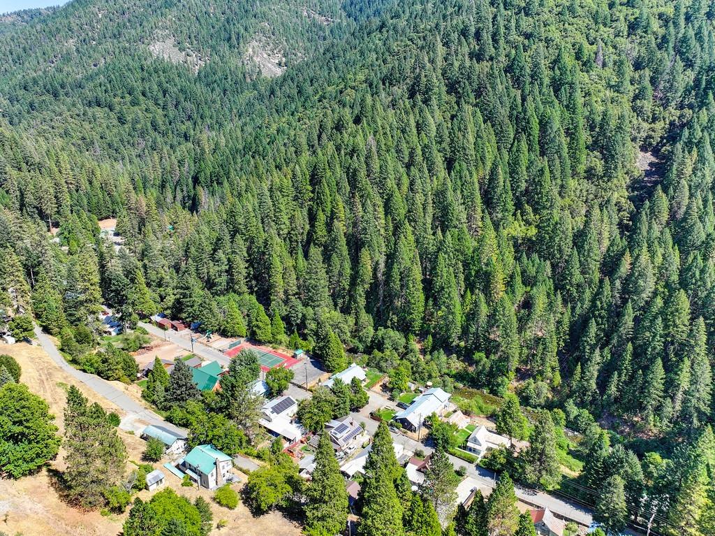 Detail Gallery Image 77 of 80 For 715 Main, Downieville,  CA 95936 - 3 Beds | 2 Baths