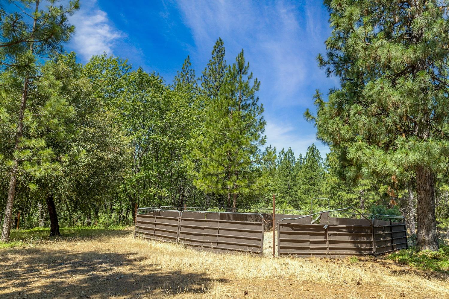 Detail Gallery Image 70 of 96 For 1483 W Forty Rd, Mokelumne Hill,  CA 95245 - 3 Beds | 2 Baths