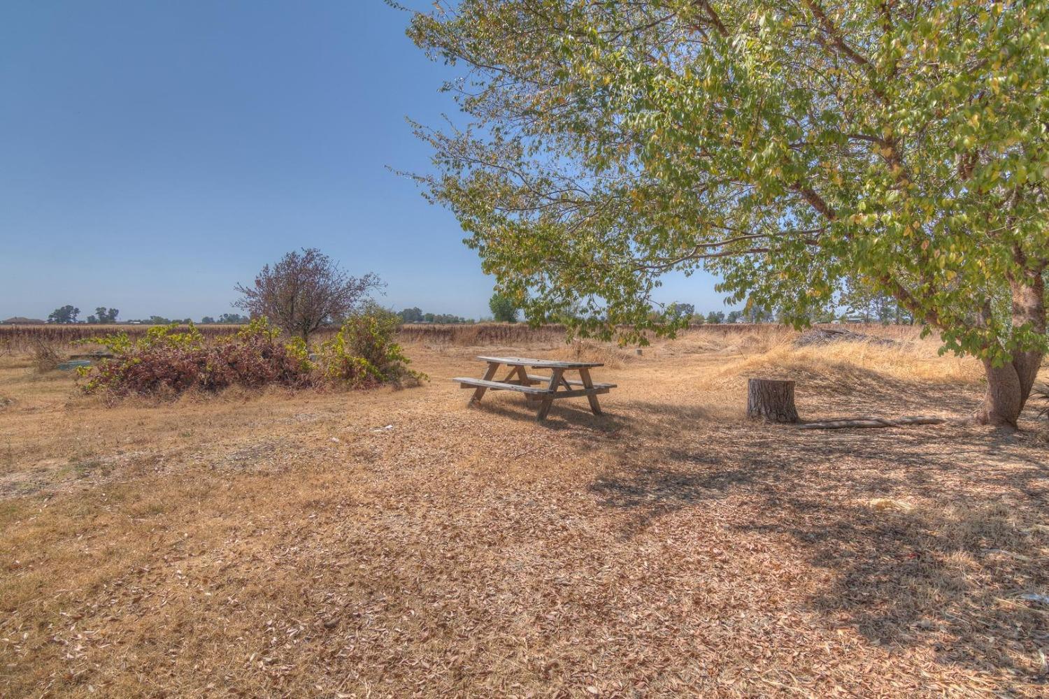 Nicolaus Road, Lincoln, California image 34