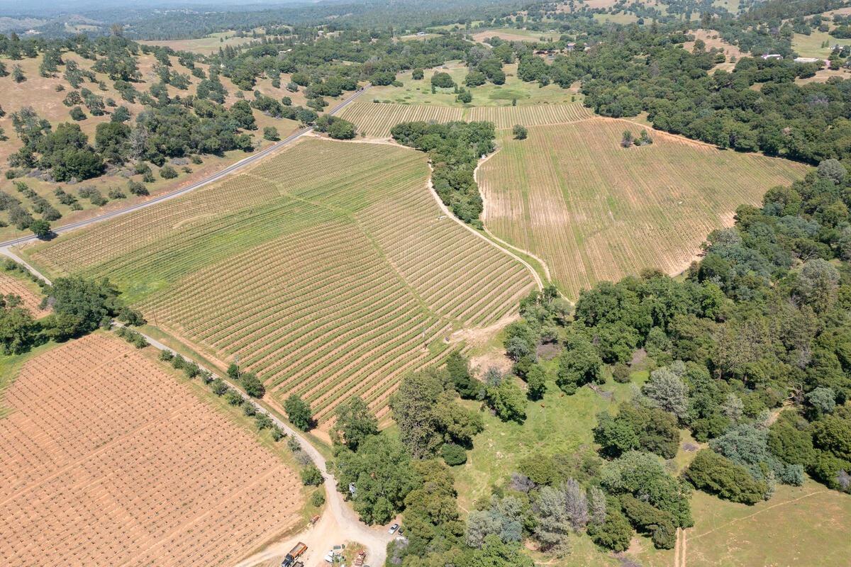 Shenandoah Road, Plymouth, California image 19