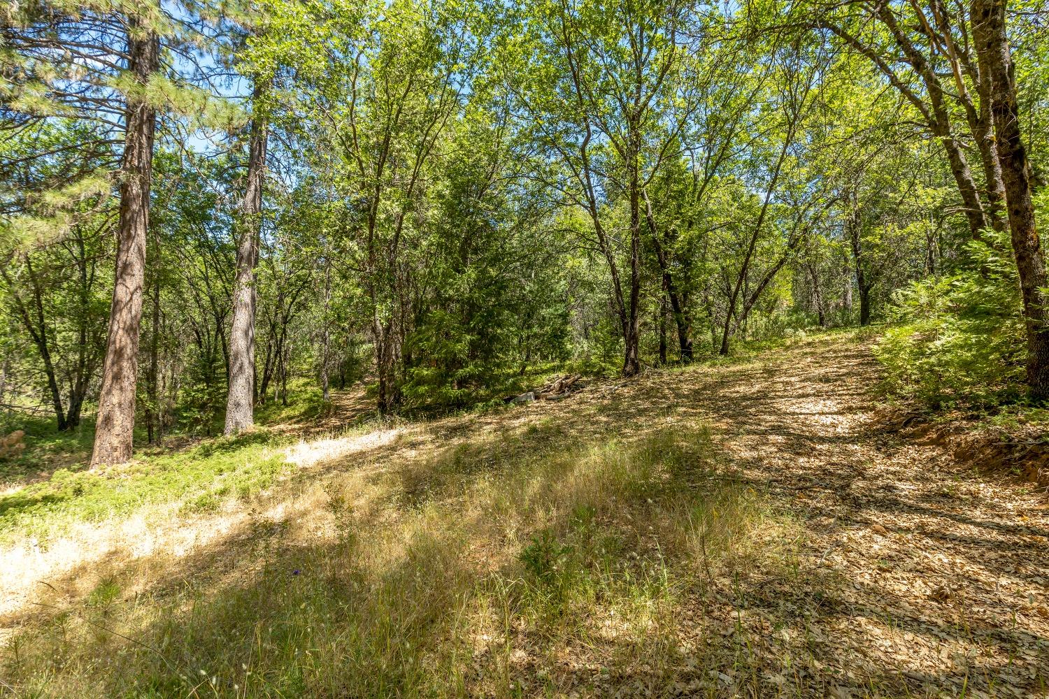 Detail Gallery Image 78 of 96 For 1483 W Forty Rd, Mokelumne Hill,  CA 95245 - 3 Beds | 2 Baths