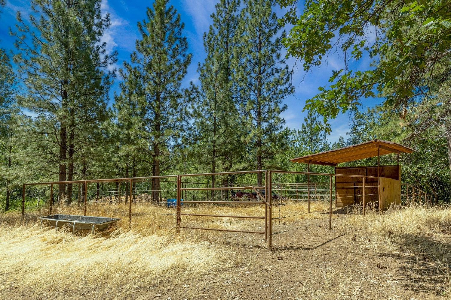 Detail Gallery Image 66 of 96 For 1483 W Forty Rd, Mokelumne Hill,  CA 95245 - 3 Beds | 2 Baths