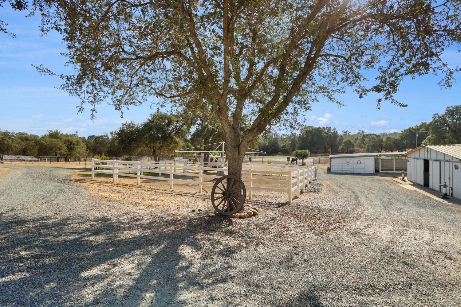 Detail Gallery Image 14 of 56 For 5005 Messing Rd, Valley Springs,  CA 95252 - 3 Beds | 2/1 Baths