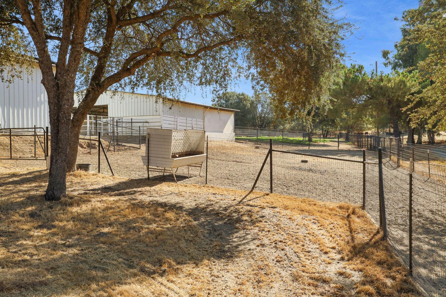 Detail Gallery Image 25 of 56 For 5005 Messing Rd, Valley Springs,  CA 95252 - 3 Beds | 2/1 Baths