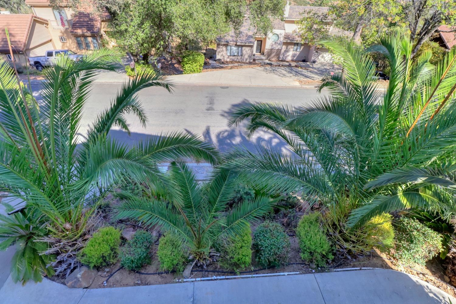 Detail Gallery Image 33 of 82 For 3560 Patterson Way, El Dorado Hills,  CA 95762 - 5 Beds | 3/1 Baths