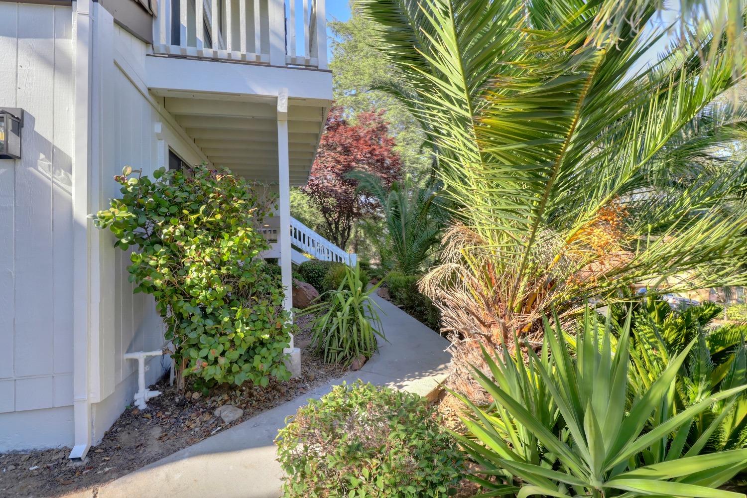 Detail Gallery Image 9 of 82 For 3560 Patterson Way, El Dorado Hills,  CA 95762 - 5 Beds | 3/1 Baths