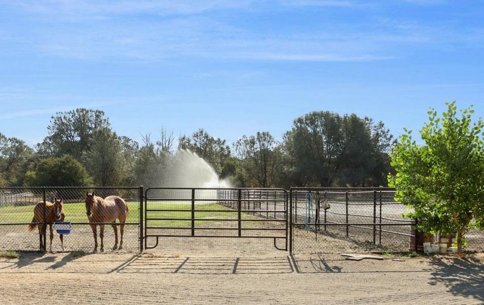 Detail Gallery Image 1 of 56 For 5005 Messing Rd, Valley Springs,  CA 95252 - 3 Beds | 2/1 Baths