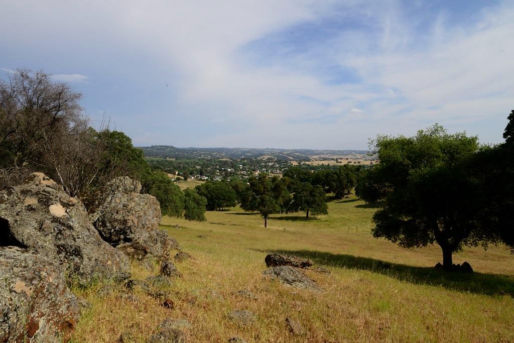 Shenandoah Ridge, Plymouth, California image 3