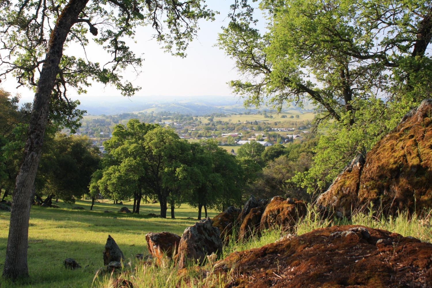 Shenandoah Ridge, Plymouth, California image 19