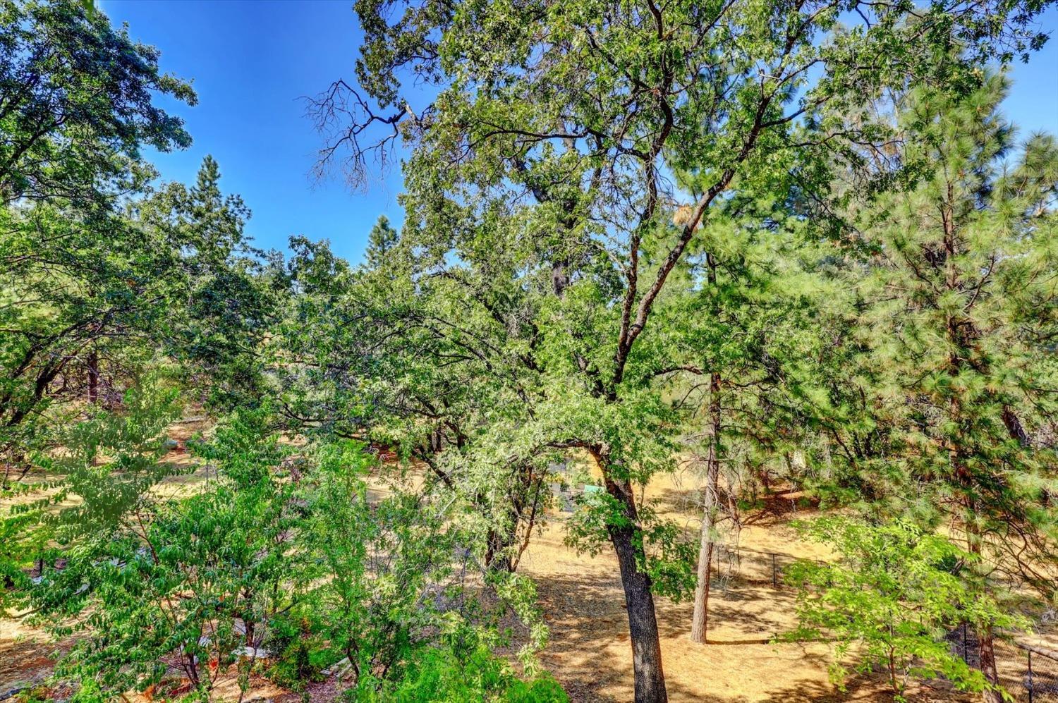 Detail Gallery Image 83 of 90 For 16344 Patricia Way, Grass Valley,  CA 95949 - 4 Beds | 3 Baths