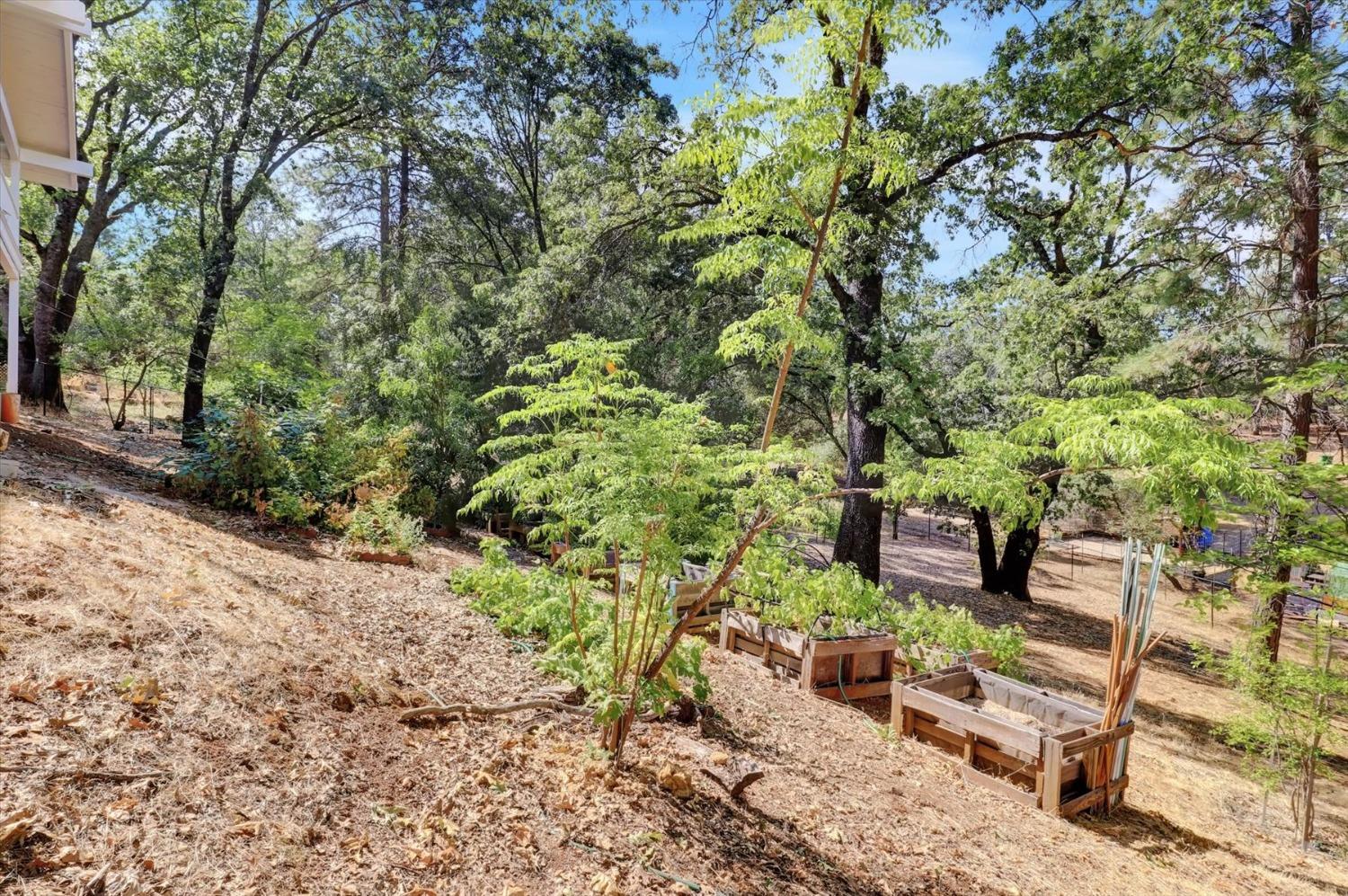 Detail Gallery Image 80 of 90 For 16344 Patricia Way, Grass Valley,  CA 95949 - 4 Beds | 3 Baths