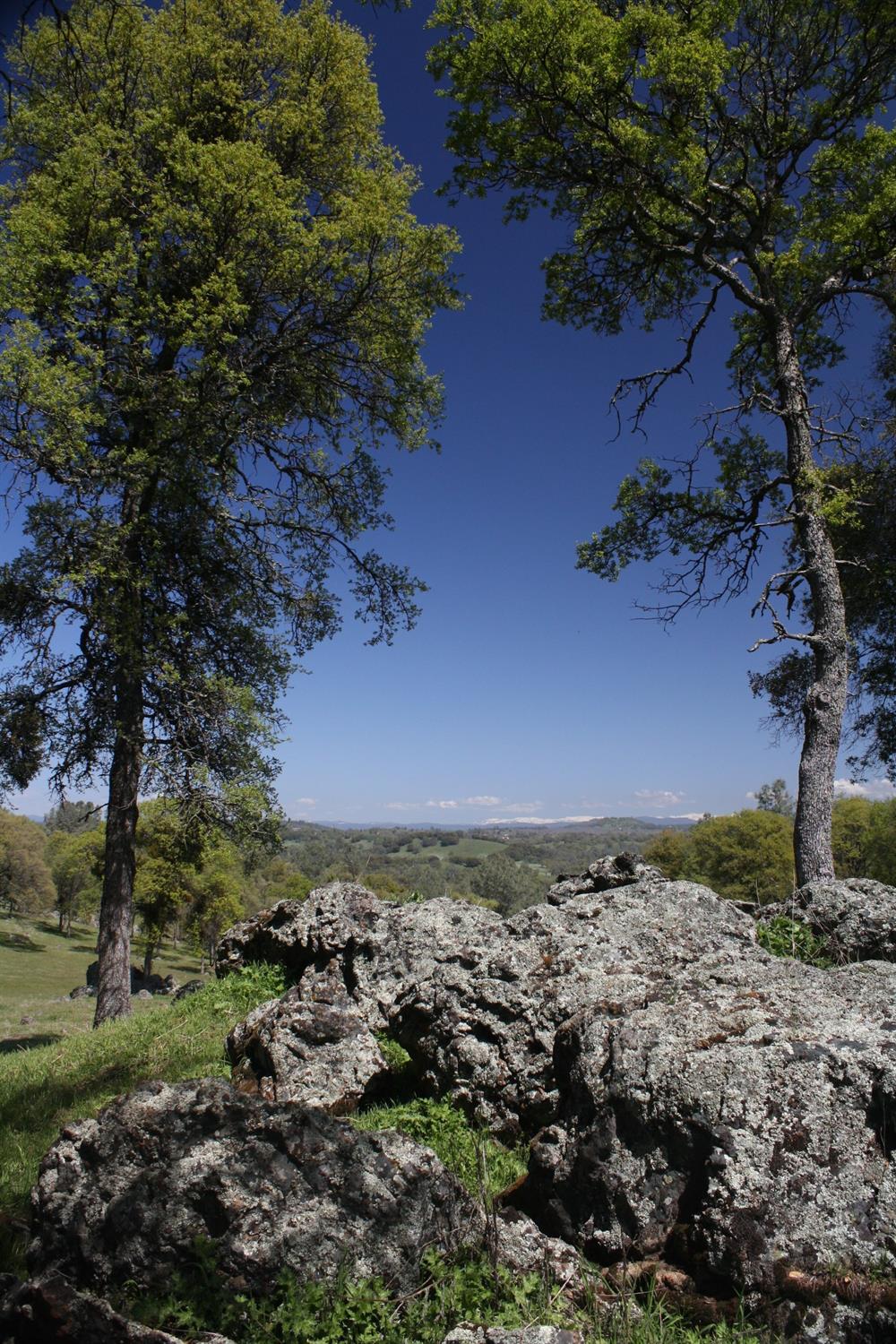 Shenandoah Ridge, Plymouth, California image 21