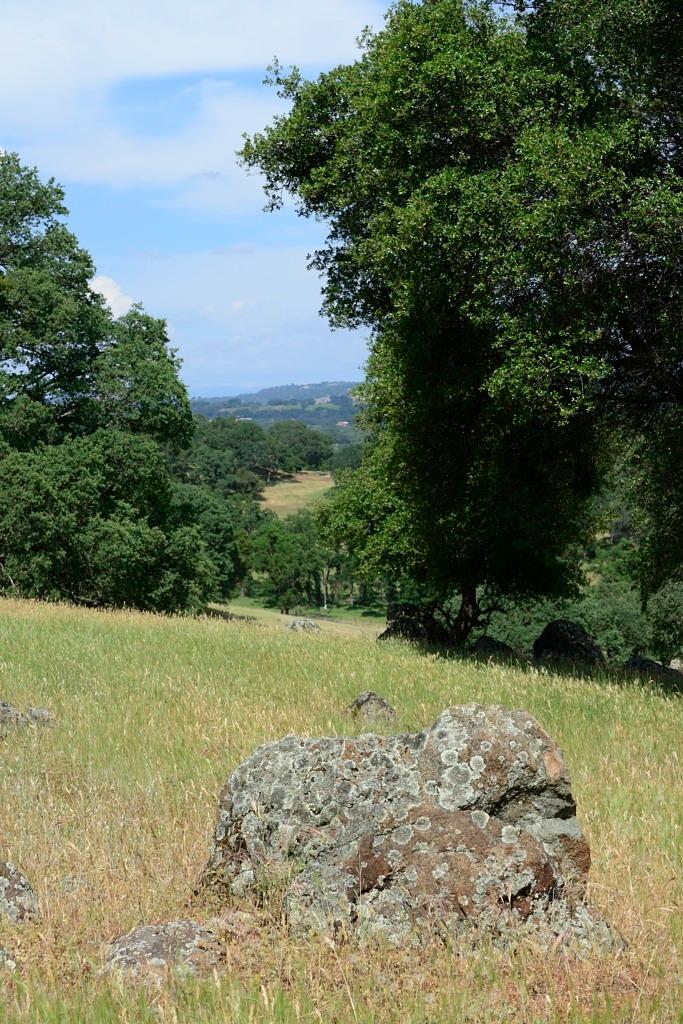 Shenandoah Ridge, Plymouth, California image 18