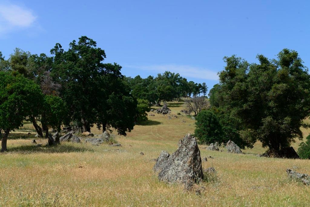 Shenandoah Ridge, Plymouth, California image 17