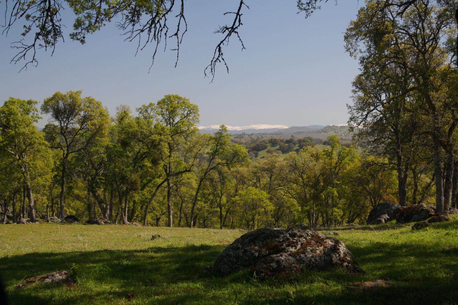 Shenandoah Ridge, Plymouth, California image 9