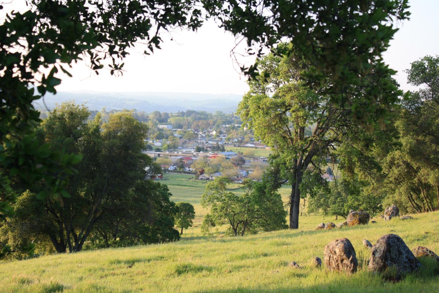 Shenandoah Ridge, Plymouth, California image 20