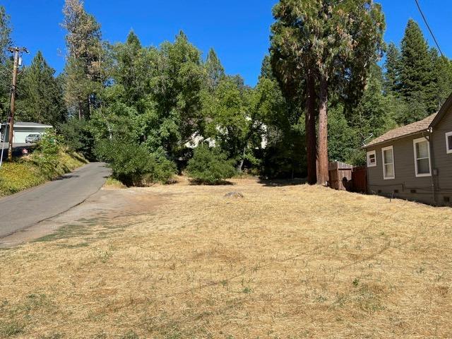 Detail Gallery Image 31 of 37 For 3095 Cedar Ravine Rd, Placerville,  CA 95667 - – Beds | – Baths