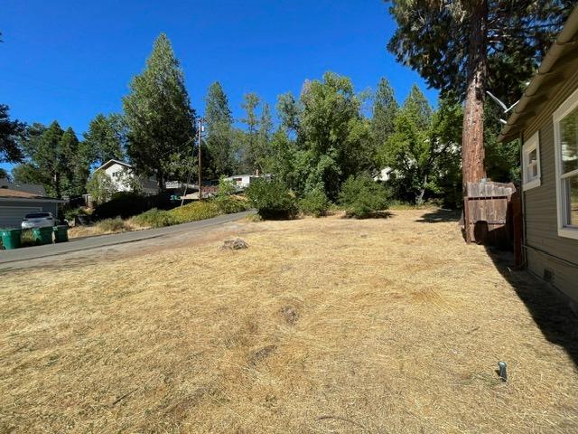 Detail Gallery Image 10 of 37 For 3095 Cedar Ravine Rd, Placerville,  CA 95667 - – Beds | – Baths