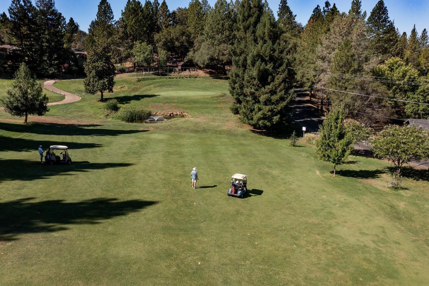 Torrey Pines, Auburn, California image 35