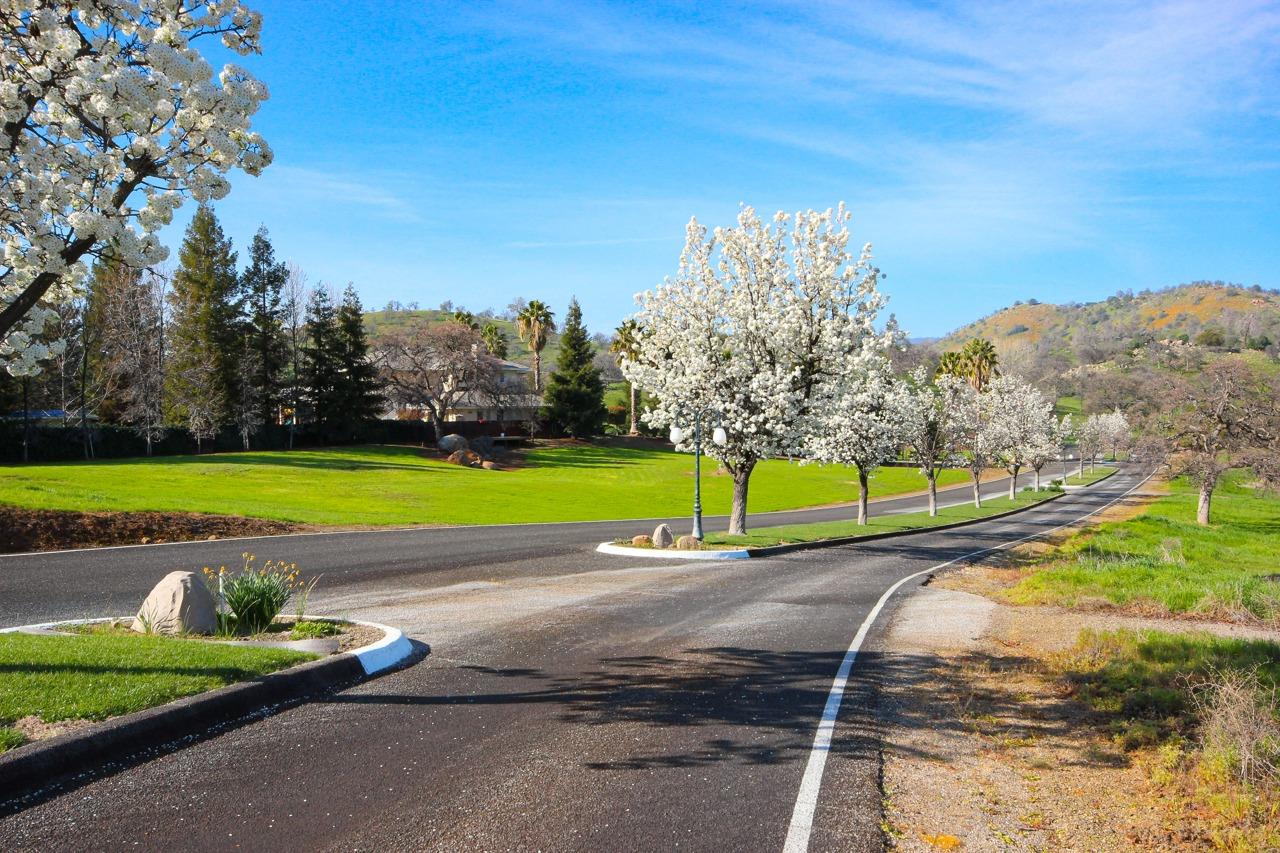 Detail Gallery Image 73 of 74 For 3022 Blue Oak Dr, Catheys Valley,  CA 95306 - 4 Beds | 3/1 Baths