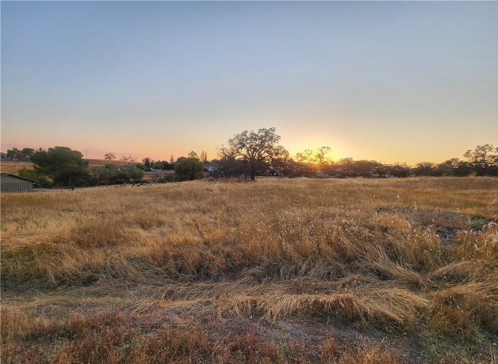 Josefina Way, La Grange, California image 3