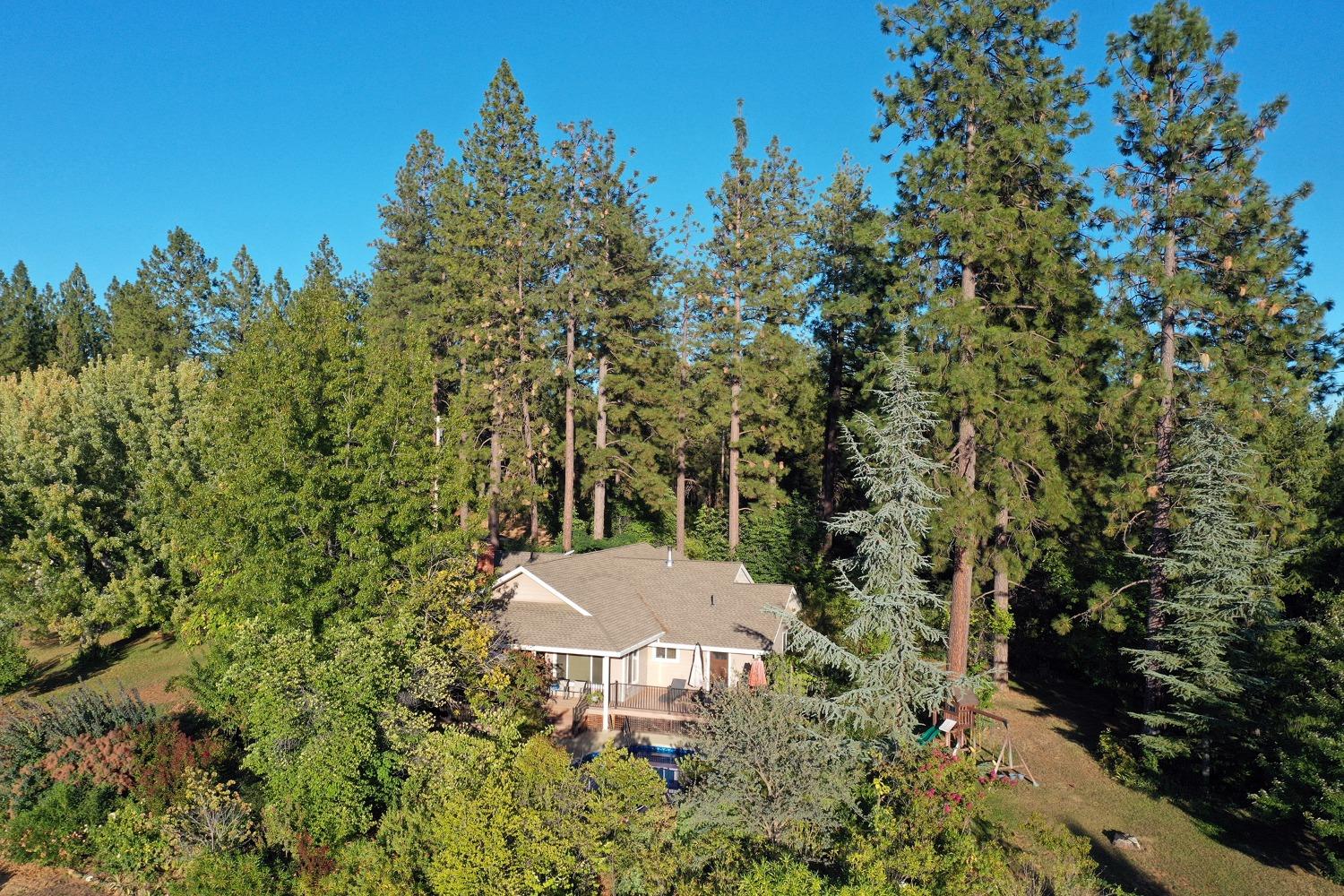 Detail Gallery Image 22 of 46 For 2451 Kingsgate, Placerville,  CA 95667 - 3 Beds | 2/1 Baths