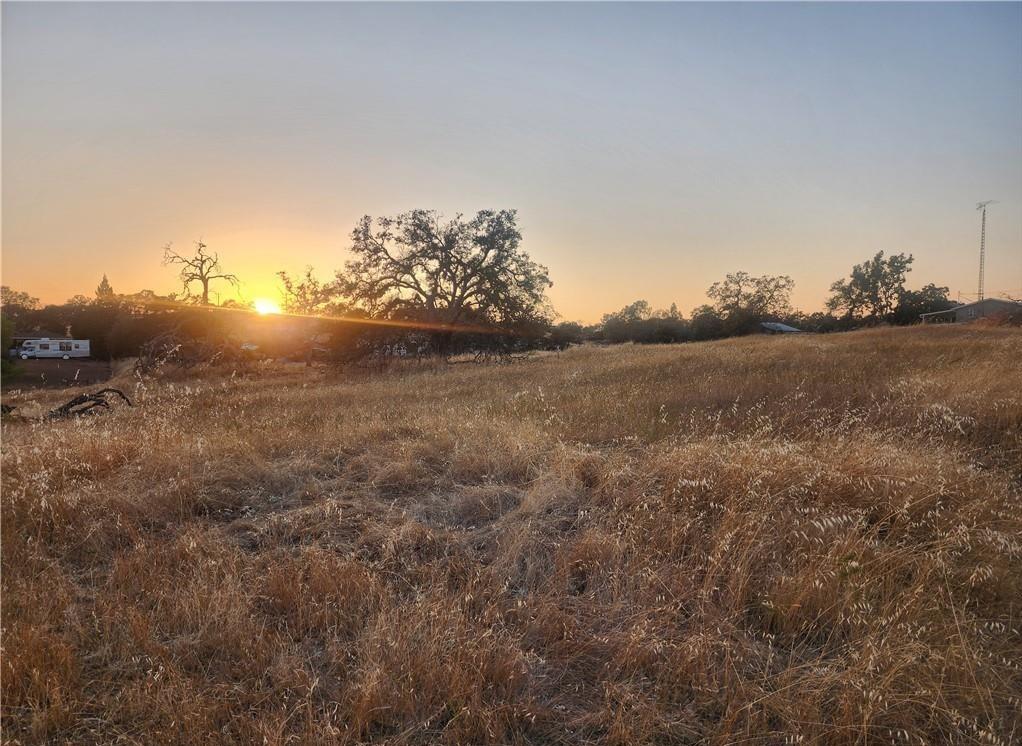 Josefina Way, La Grange, California image 5