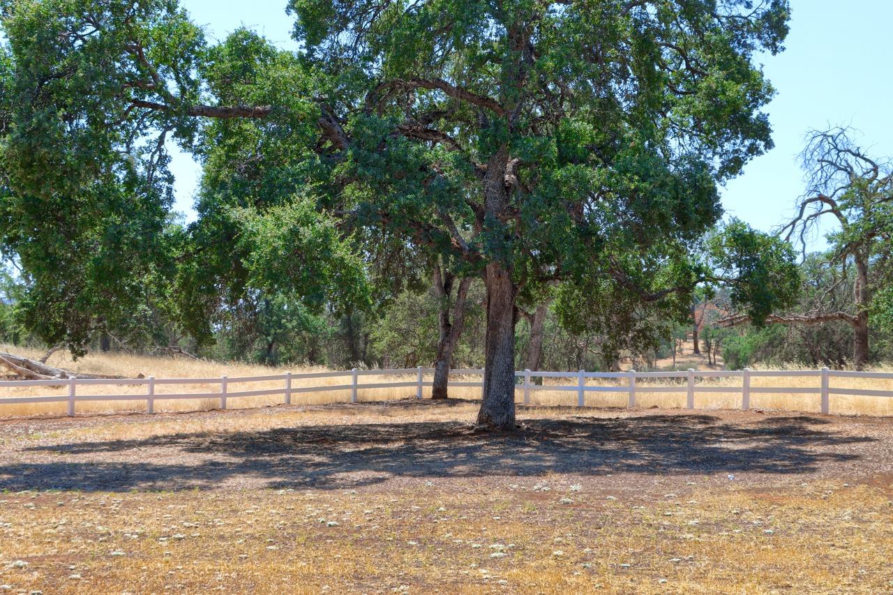 Detail Gallery Image 65 of 74 For 3022 Blue Oak Dr, Catheys Valley,  CA 95306 - 4 Beds | 3/1 Baths