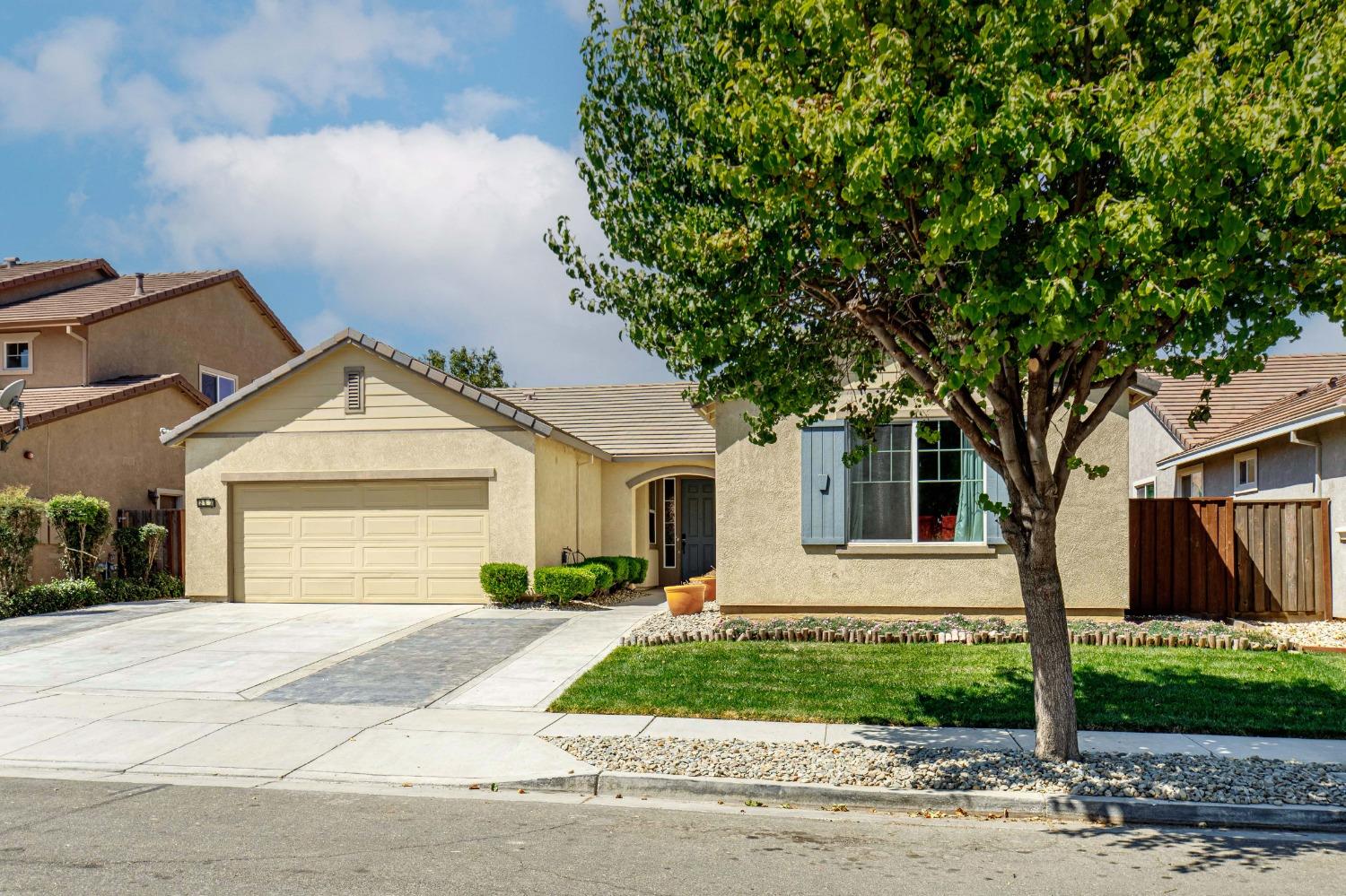 Lavender Lane, Patterson, California image 3