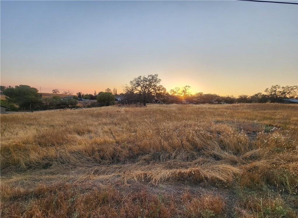 Josefina Way, La Grange, California image 2