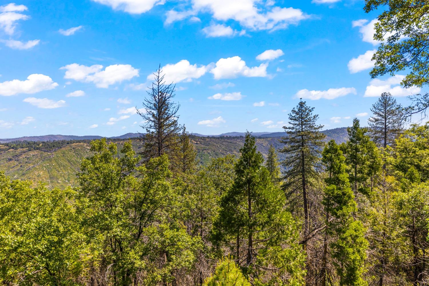 Detail Gallery Image 53 of 77 For 6745 Slug Gulch Rd, Somerset,  CA 95684 - 3 Beds | 2/1 Baths